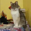 Отзыв от Лада Симонова